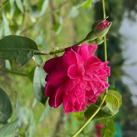 Chaitanya Farms Karjat Luaran gambar