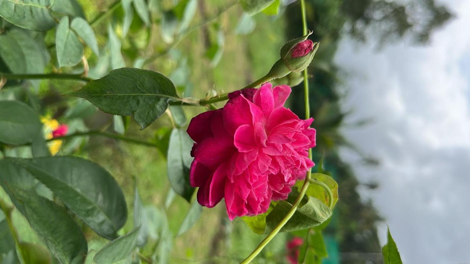 Chaitanya Farms Karjat Luaran gambar